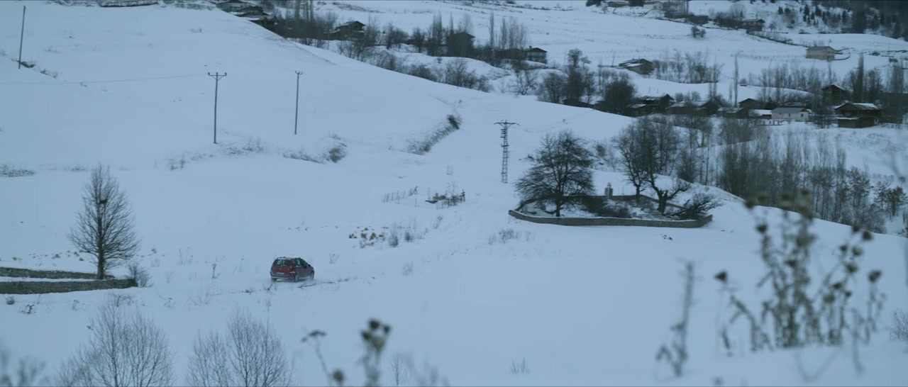 Kar ve Ayi screenshot 3