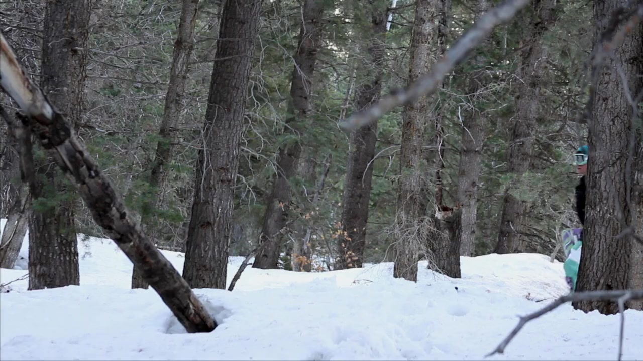 Snow Beast screenshot 1