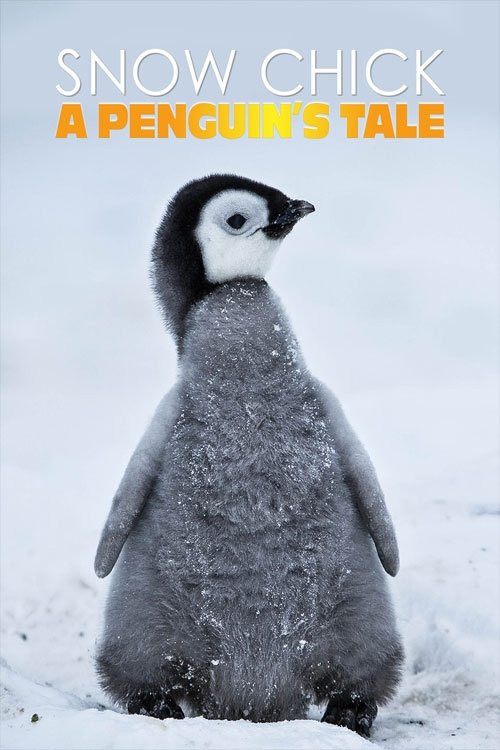 Snow Chick: A Penguin's Tale (2015) poster