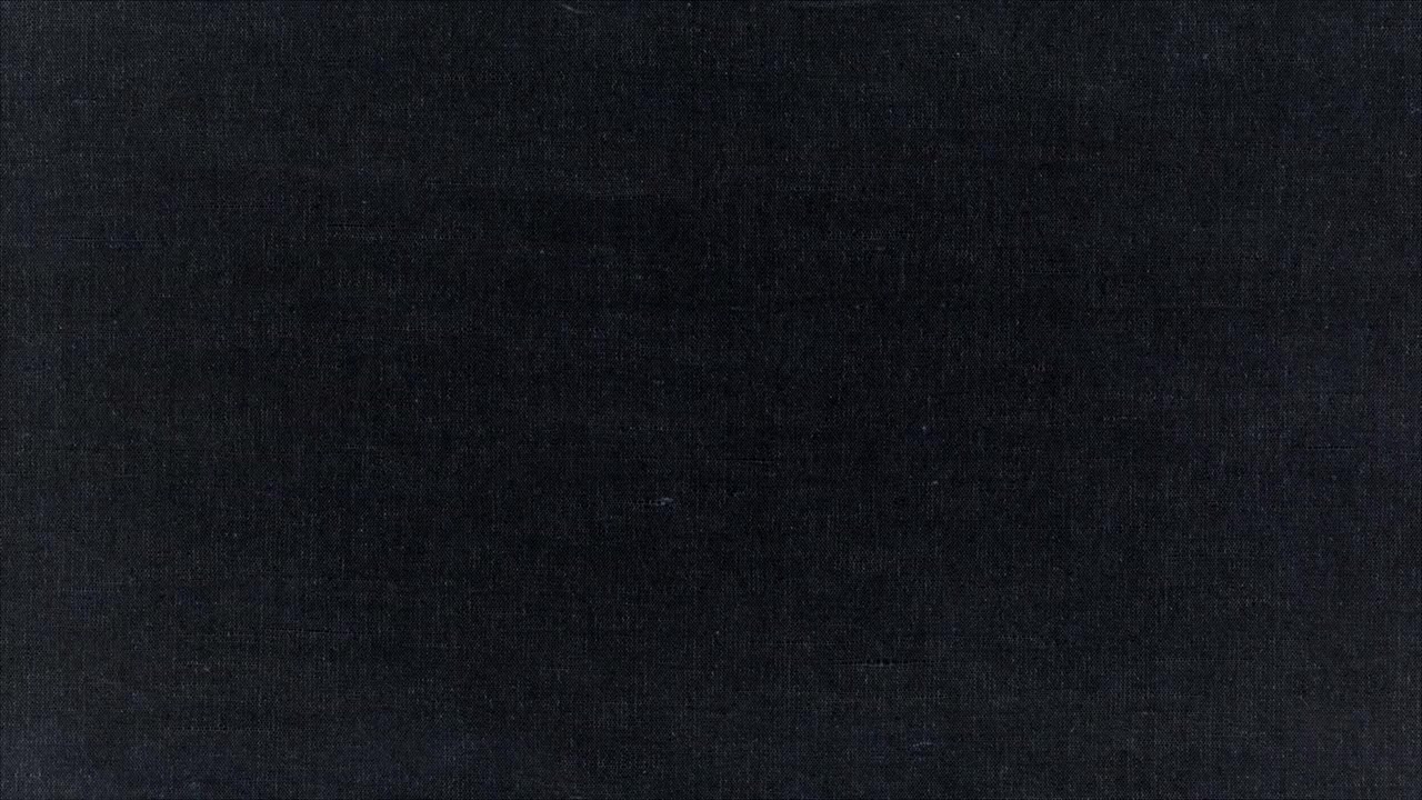 Sound of the Police screenshot 2