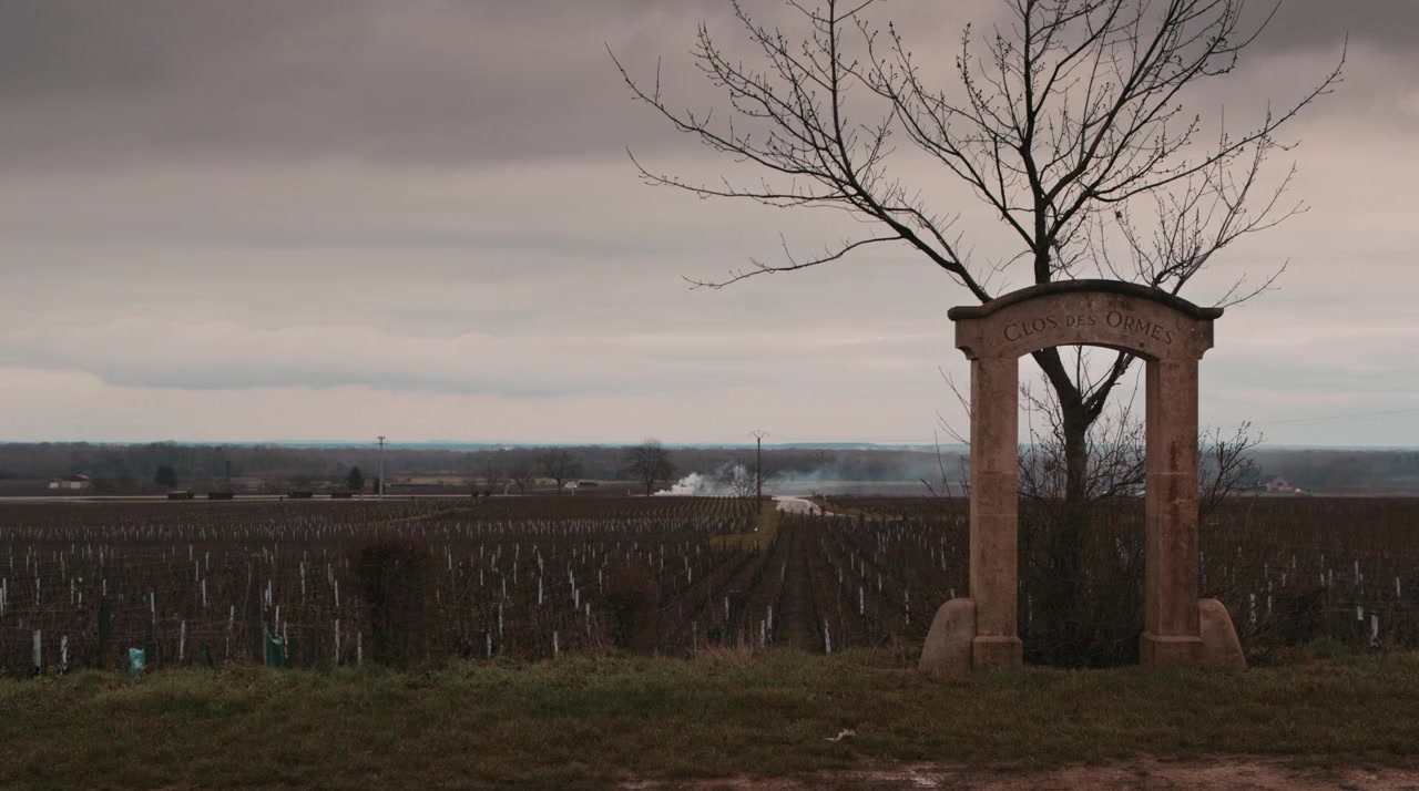 Sour Grapes screenshot 2