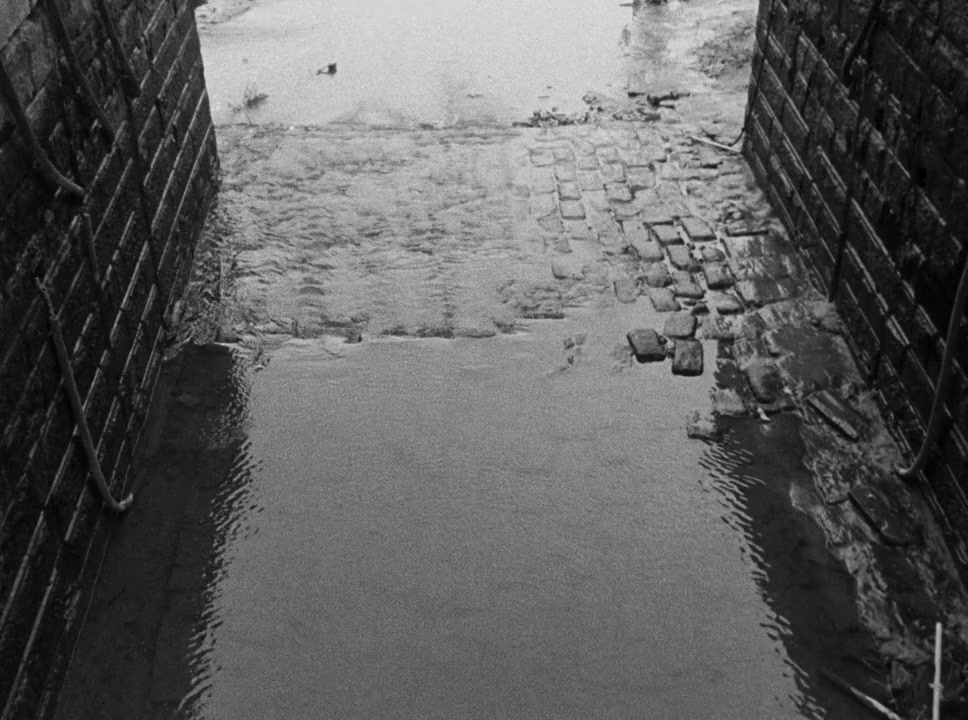 South screenshot 3