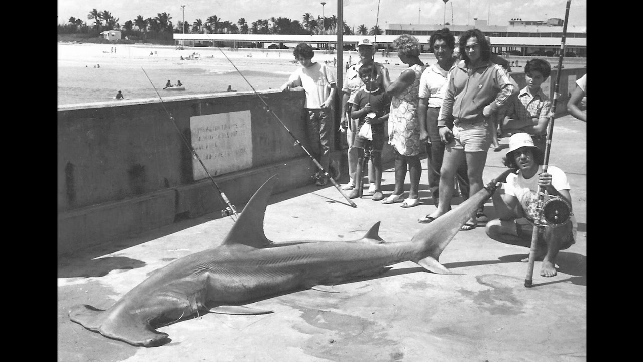 South Beach Shark Club screenshot 1