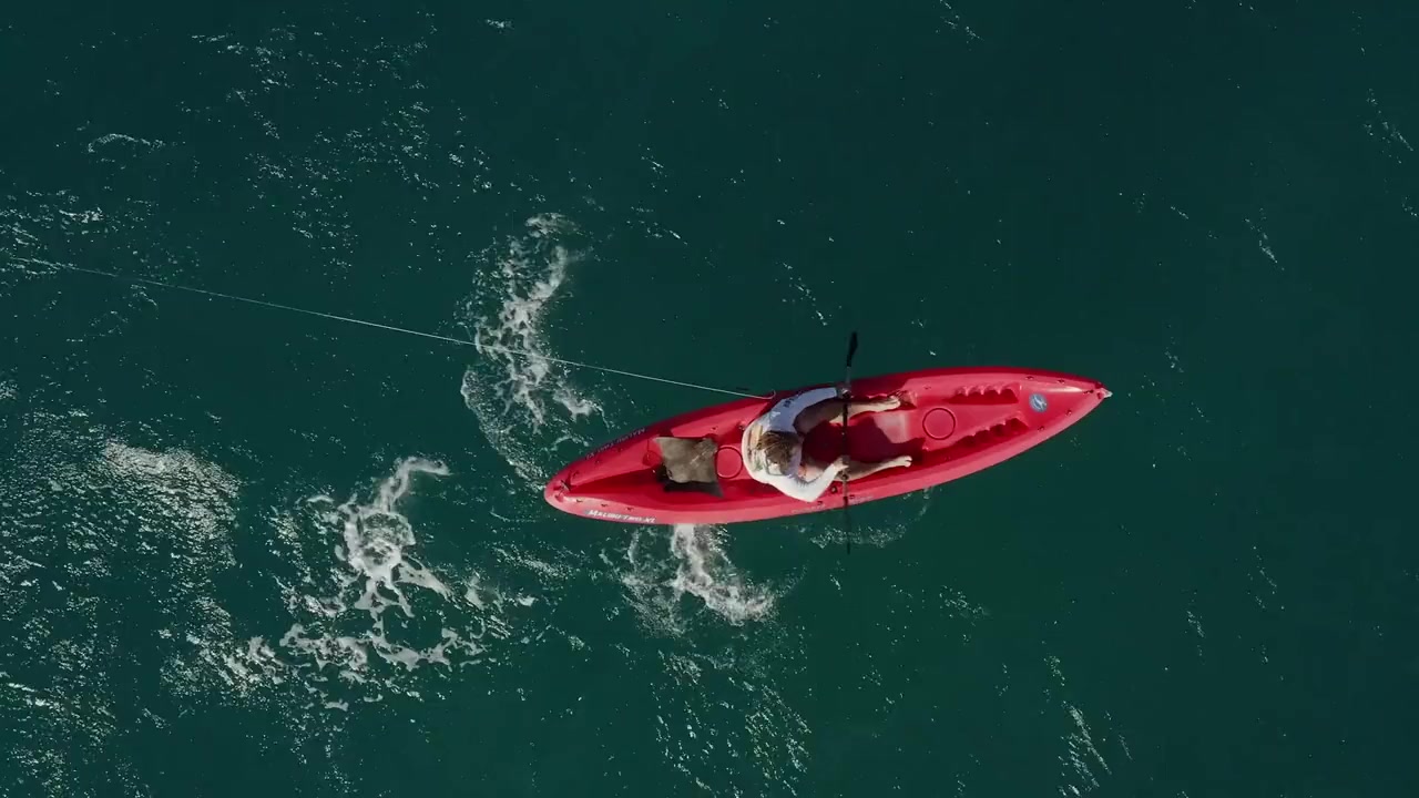 South Beach Shark Club screenshot 3