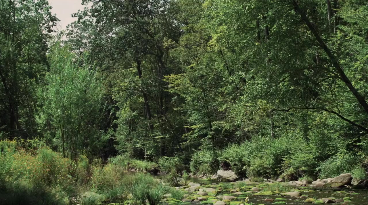 South Mountain screenshot 1