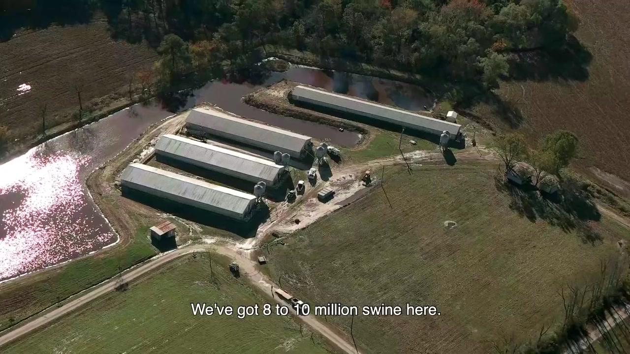 Soyalism screenshot 1