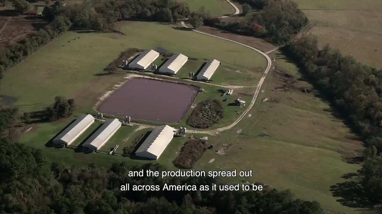 Soyalism screenshot 3