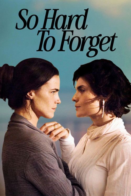 Como Esquecer (2010) poster