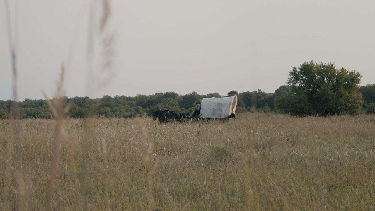 Sod and Stubble screenshot 3