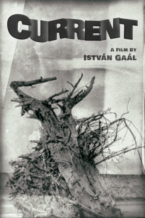 Sodrásban (1964) poster