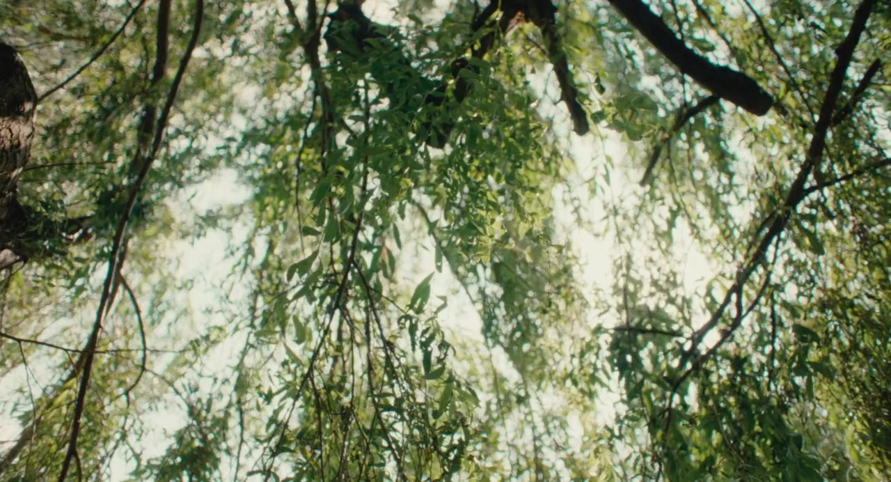 Soft Leaves screenshot 1