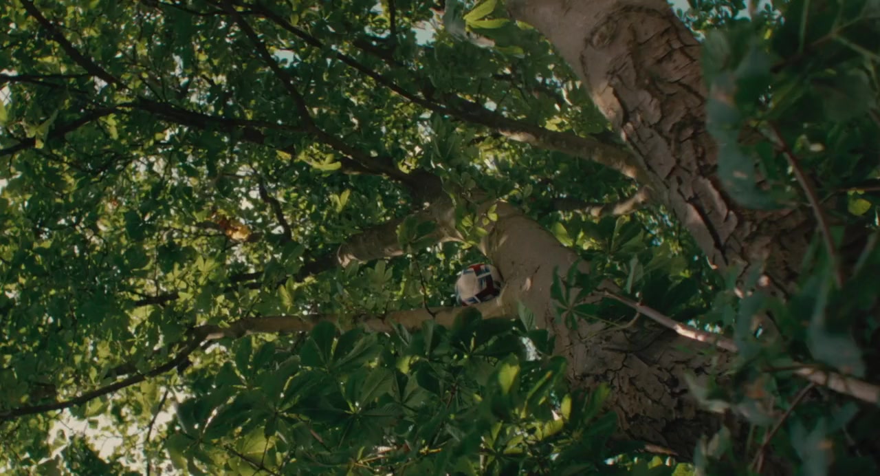 Soft Leaves screenshot 2