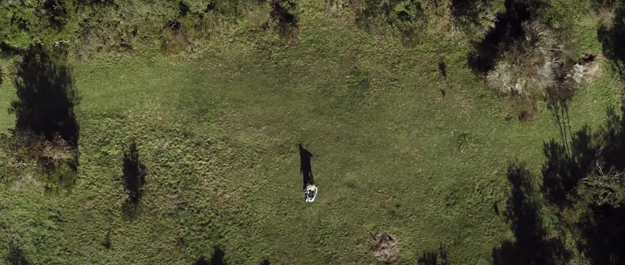 Algunas Bestias screenshot 1