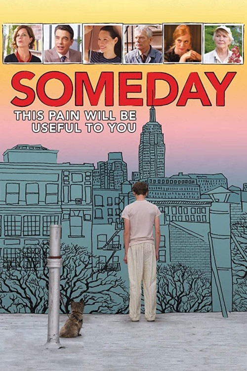 Someday This Pain Will Be Useful to You (2011) poster