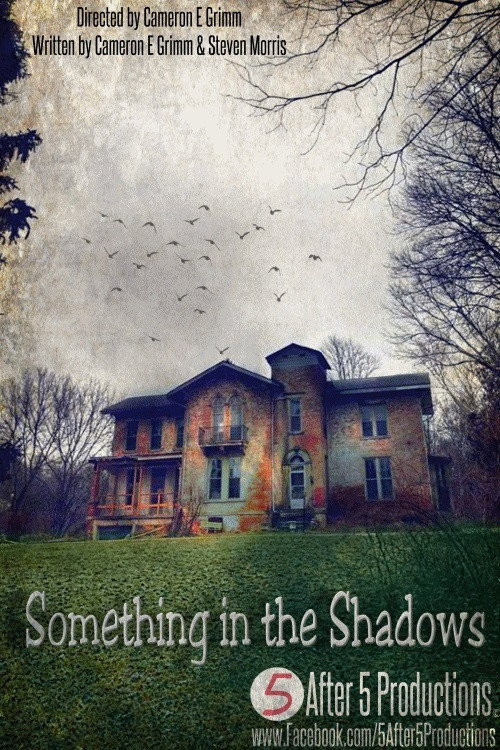 Something in the Shadows (2021) poster