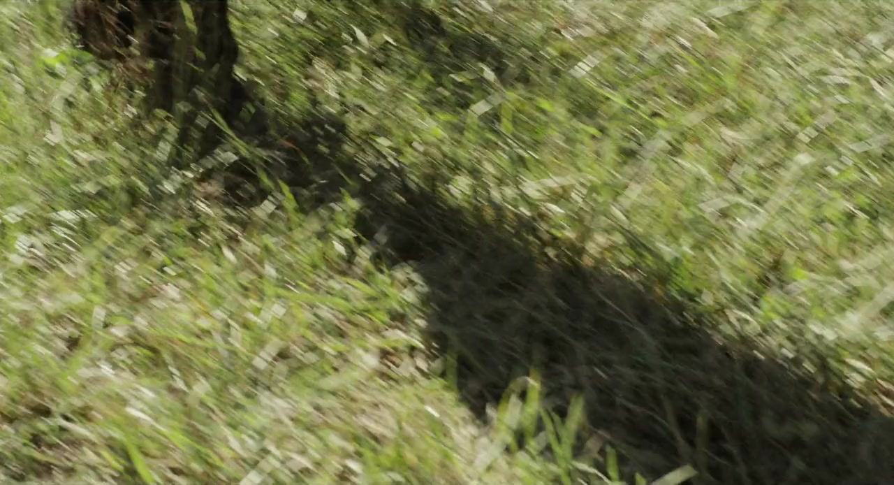 In un posto bellissimo screenshot 1