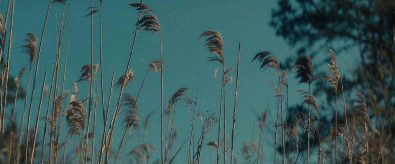 Somewhere Quiet screenshot 2