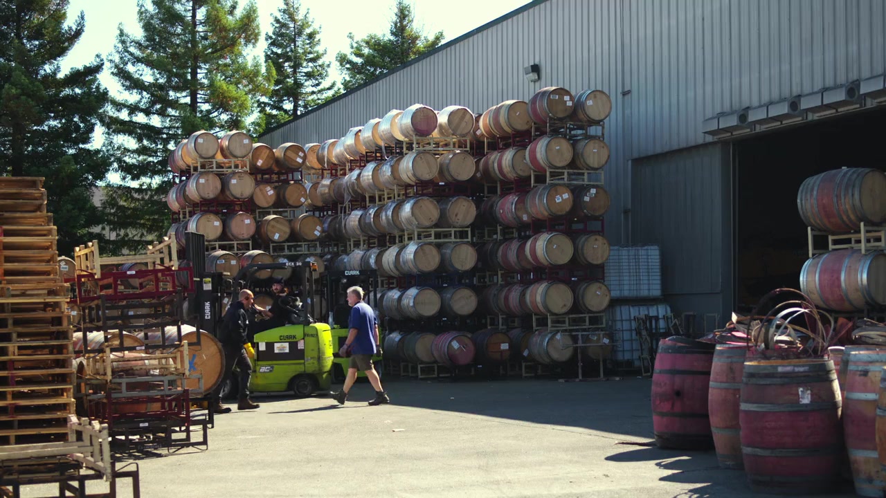 SOMM: Into the Bottle screenshot 3