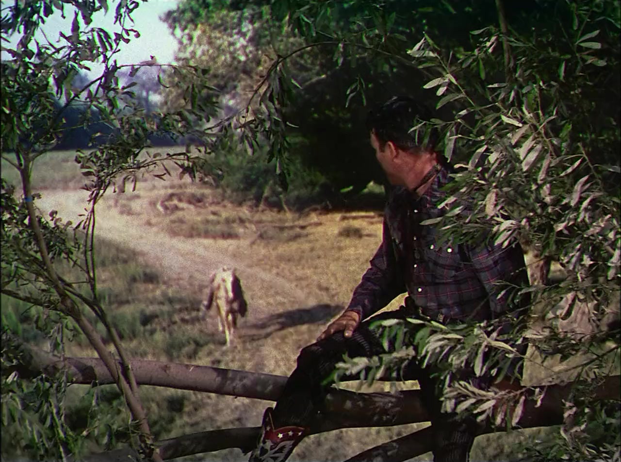 Son of Paleface screenshot 1
