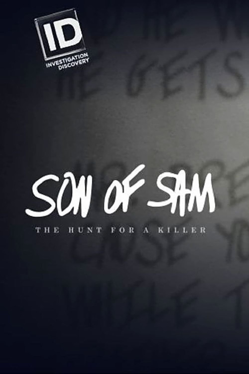 Son of Sam: The Hunt for a Killer (2017) poster