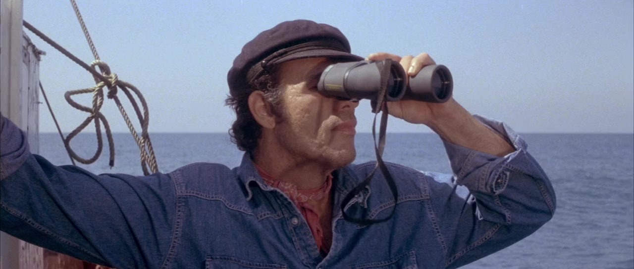 Son of the Pink Panther screenshot 3