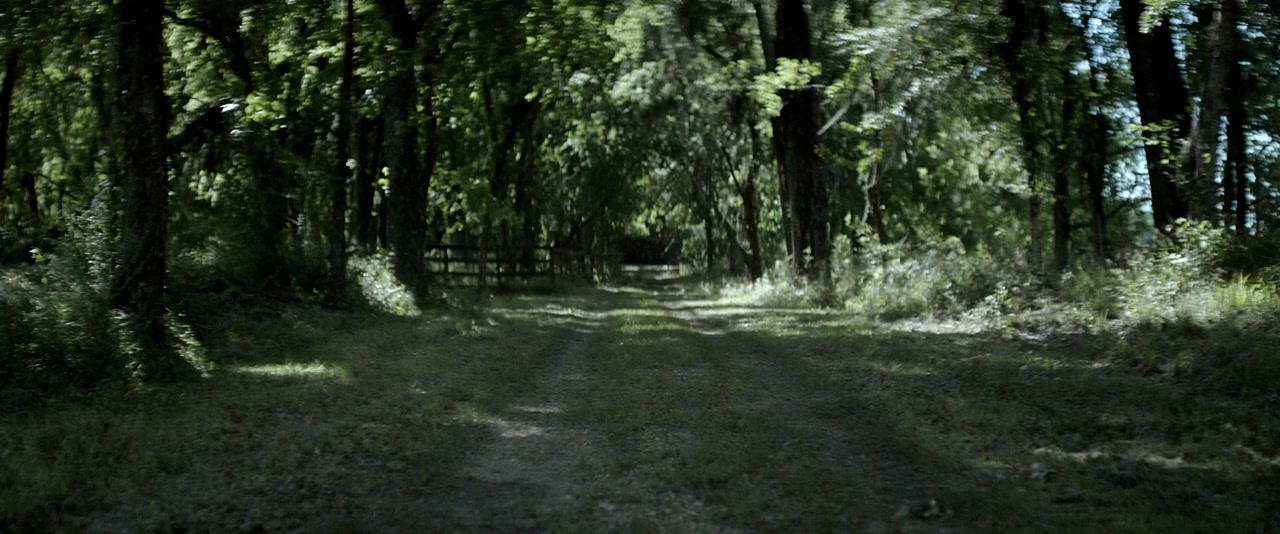 Son of the South screenshot 3