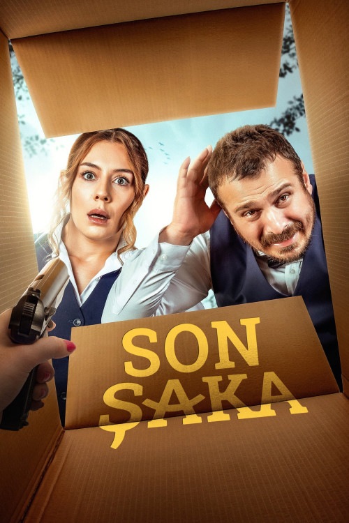 Son Saka (2020) poster