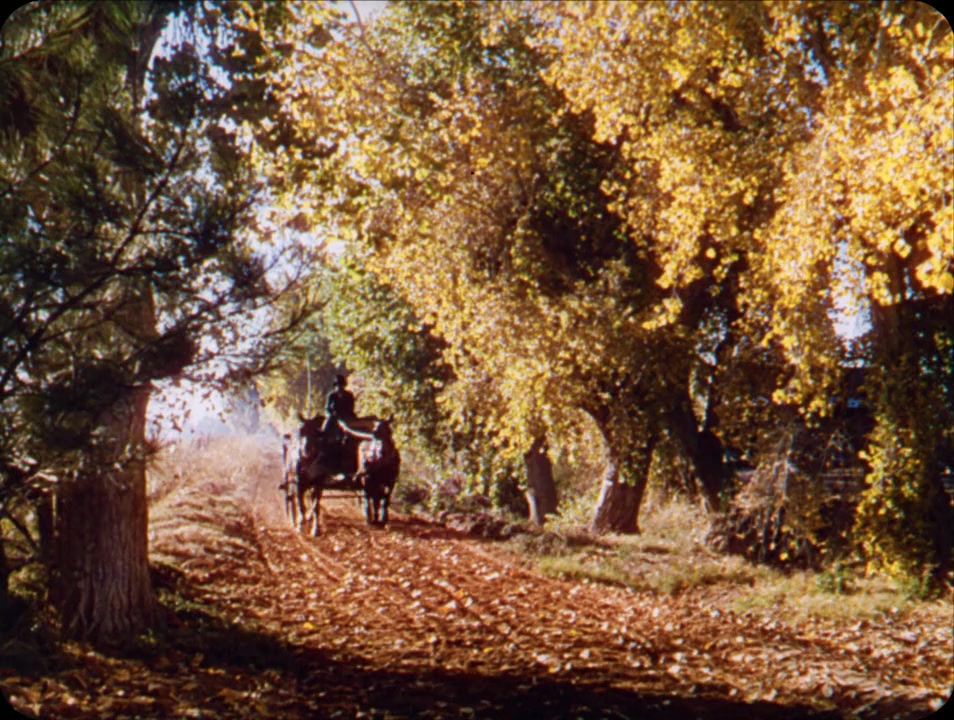 Song of the South screenshot 1