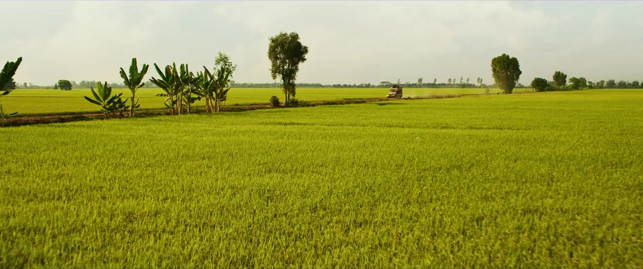 Dat Rung Phuong Nam screenshot 3