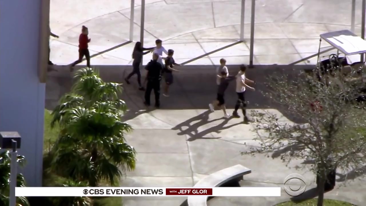 Song of Parkland screenshot 2