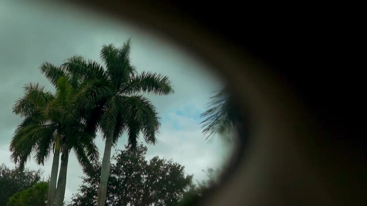 Song of Parkland screenshot 3