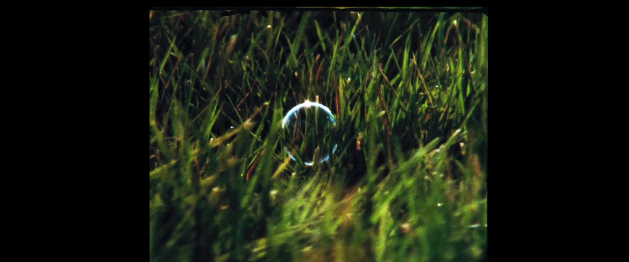Songs for While I'm Away screenshot 3