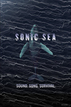 Sonic Sea (2016) poster