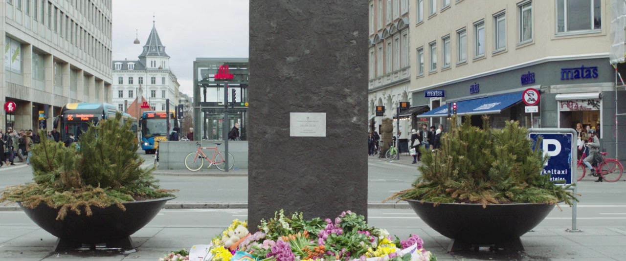 Danmarks sønner screenshot 1