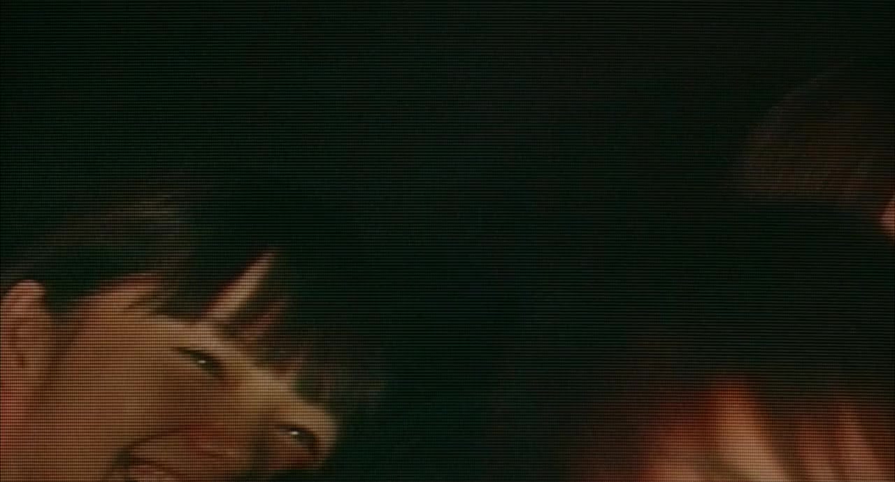 Soranin screenshot 2