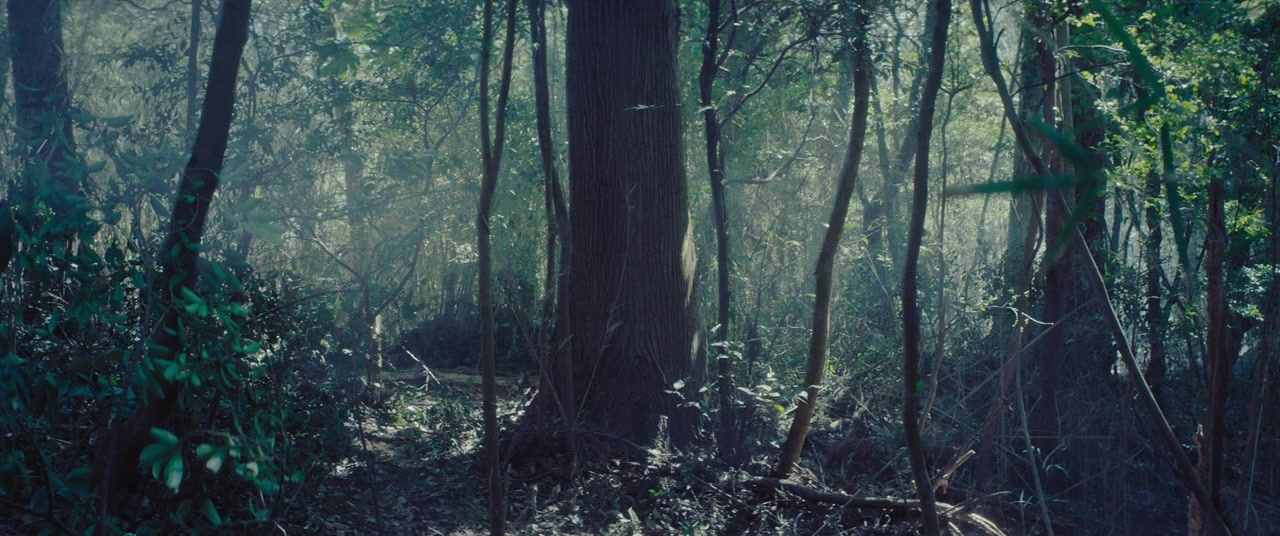 Sore ga Iru Mori screenshot 1