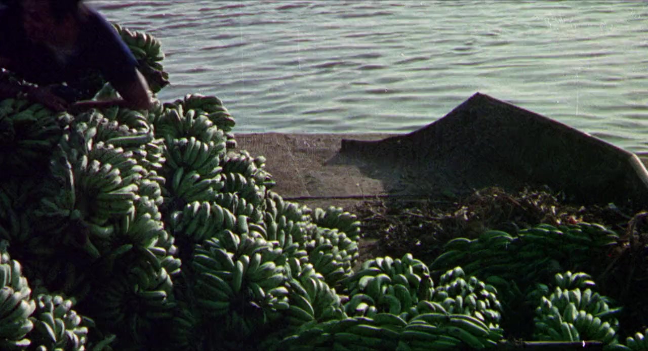 SOS Conspiración Bikini screenshot 1