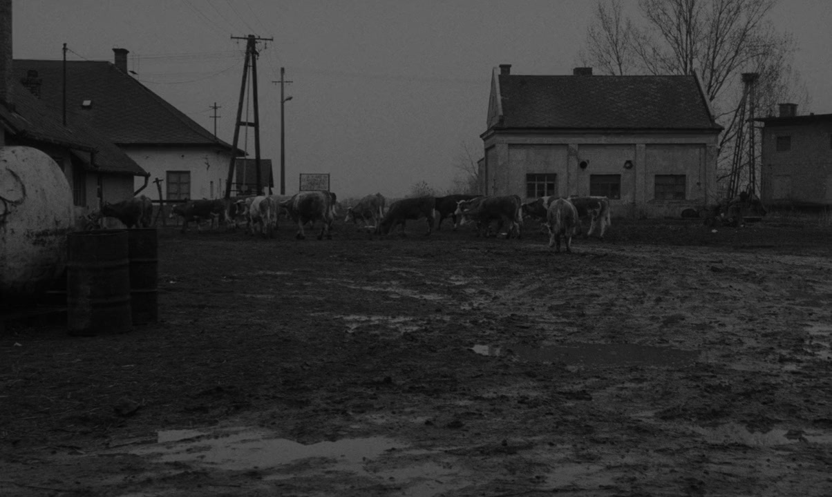 Sátántangó screenshot 1
