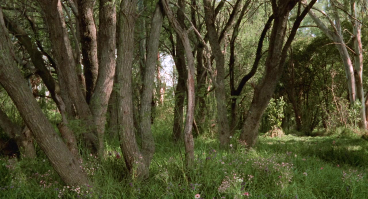 Satanico Pandemonium: La Sexorcista screenshot 1
