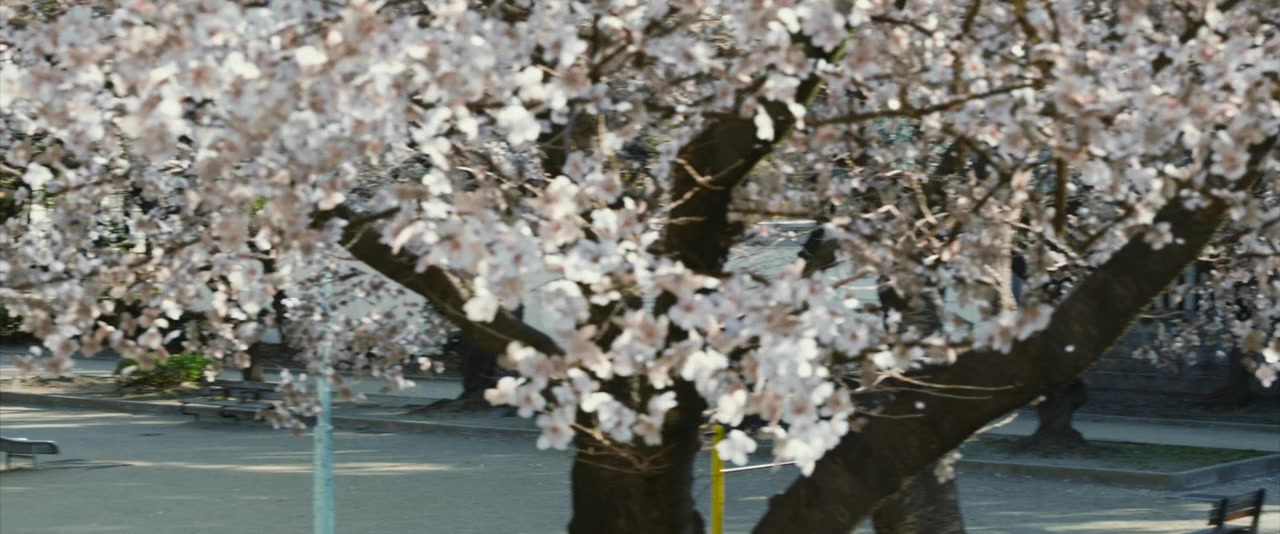Satoshi no seishun screenshot 2