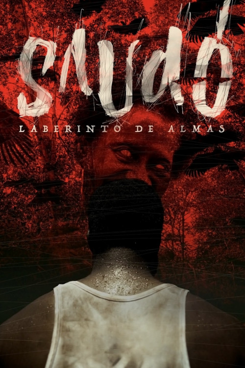 Saudó, laberinto de almas (2016) poster