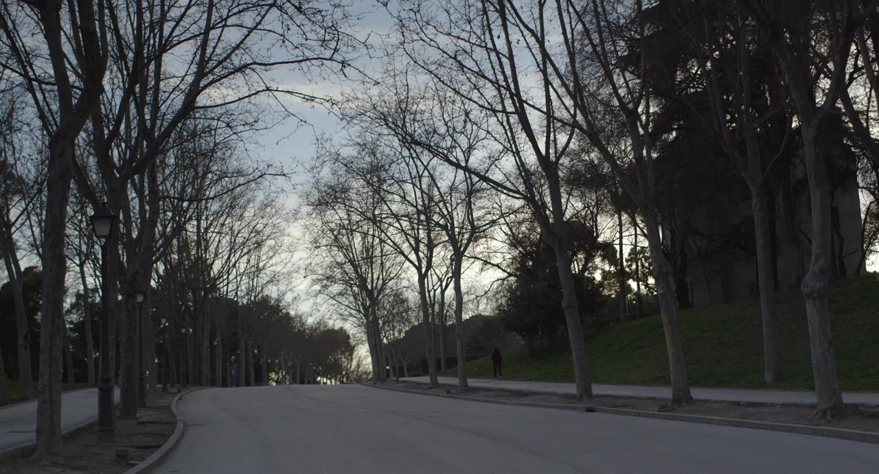 Saura(s) screenshot 1