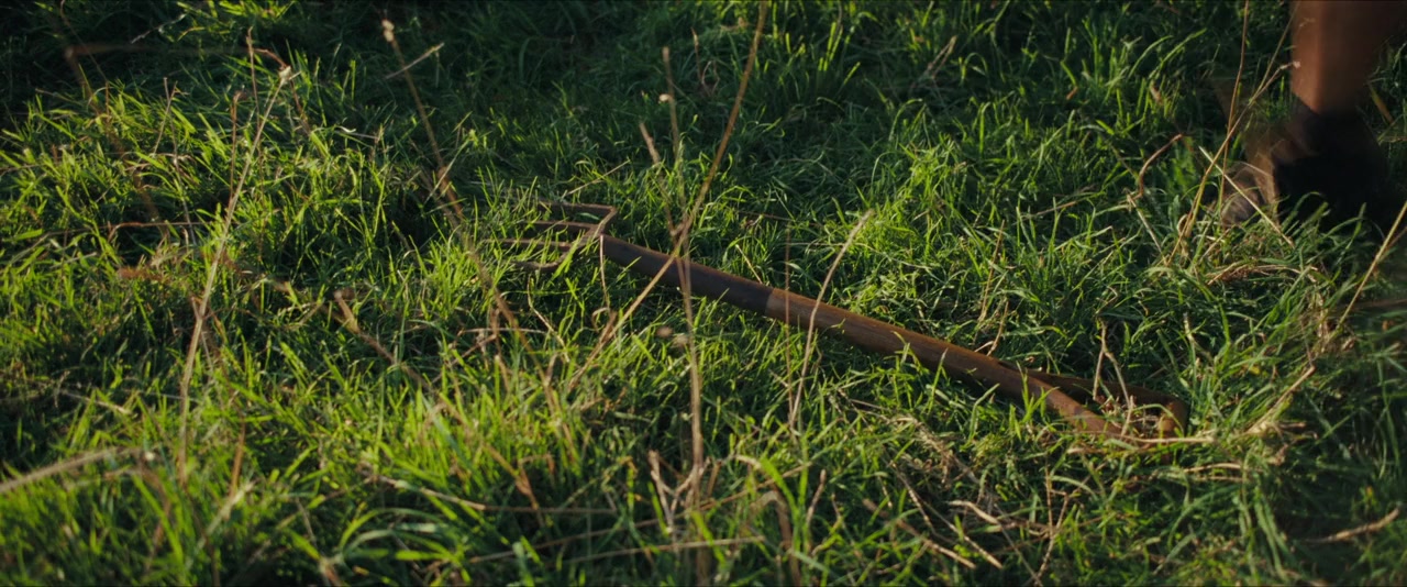Savage Flowers screenshot 1