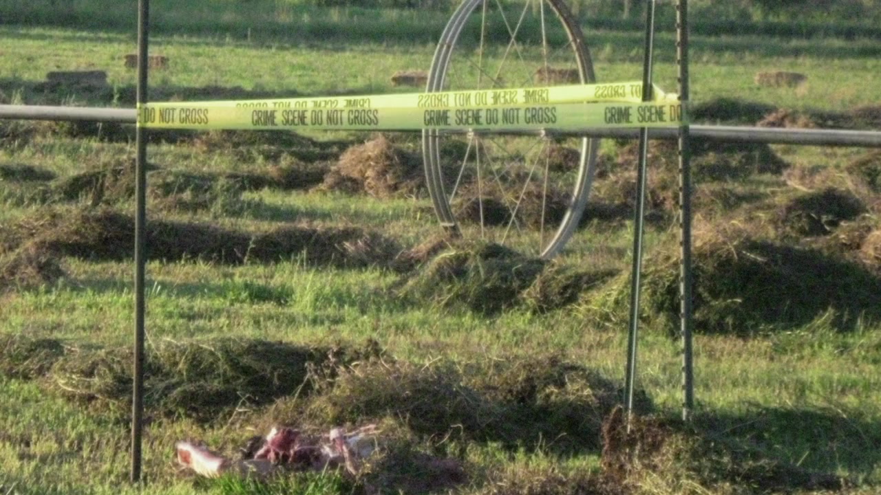 Savageland screenshot 2