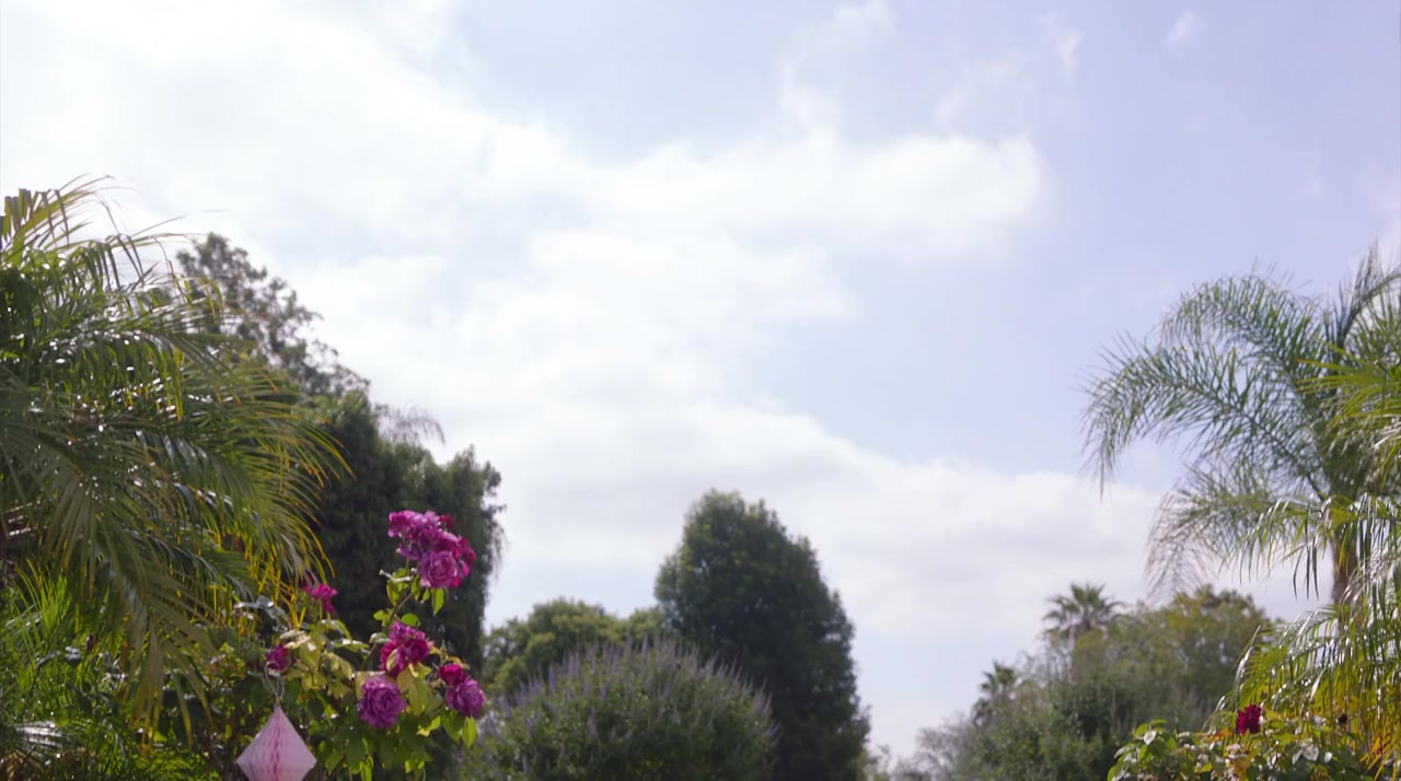 Save the Wedding screenshot 2