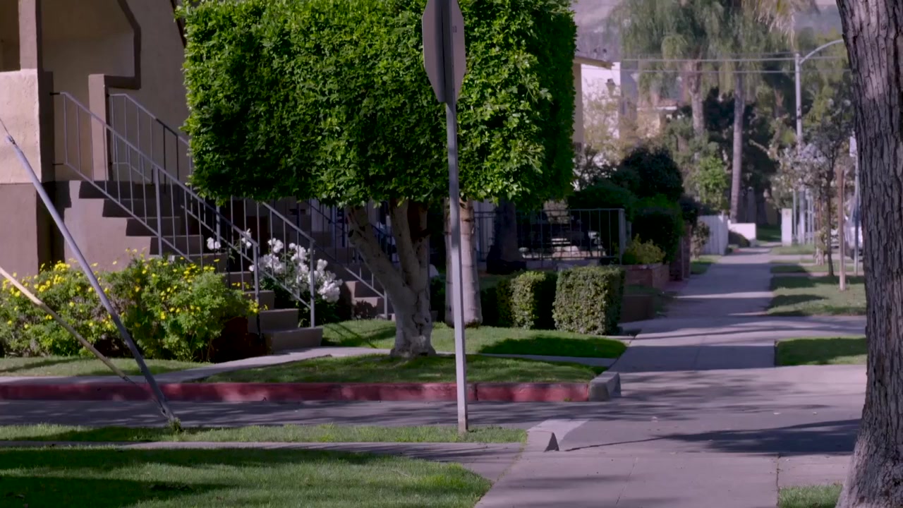 Saved by Grace screenshot 1