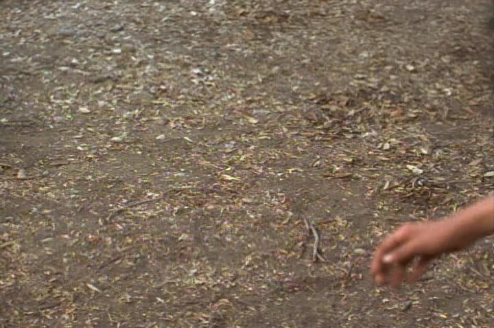 Saved by the Bell: Wedding in Las Vegas screenshot 1