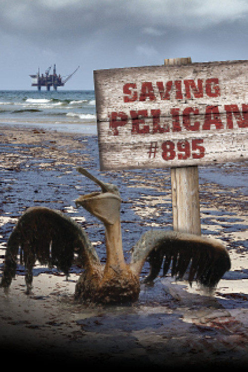 Saving Pelican 895 (2011) poster
