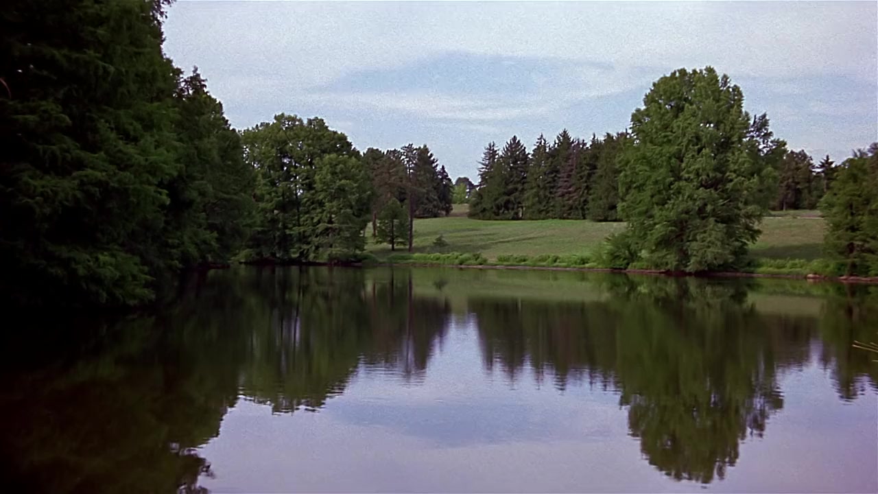 Saving Shiloh screenshot 3