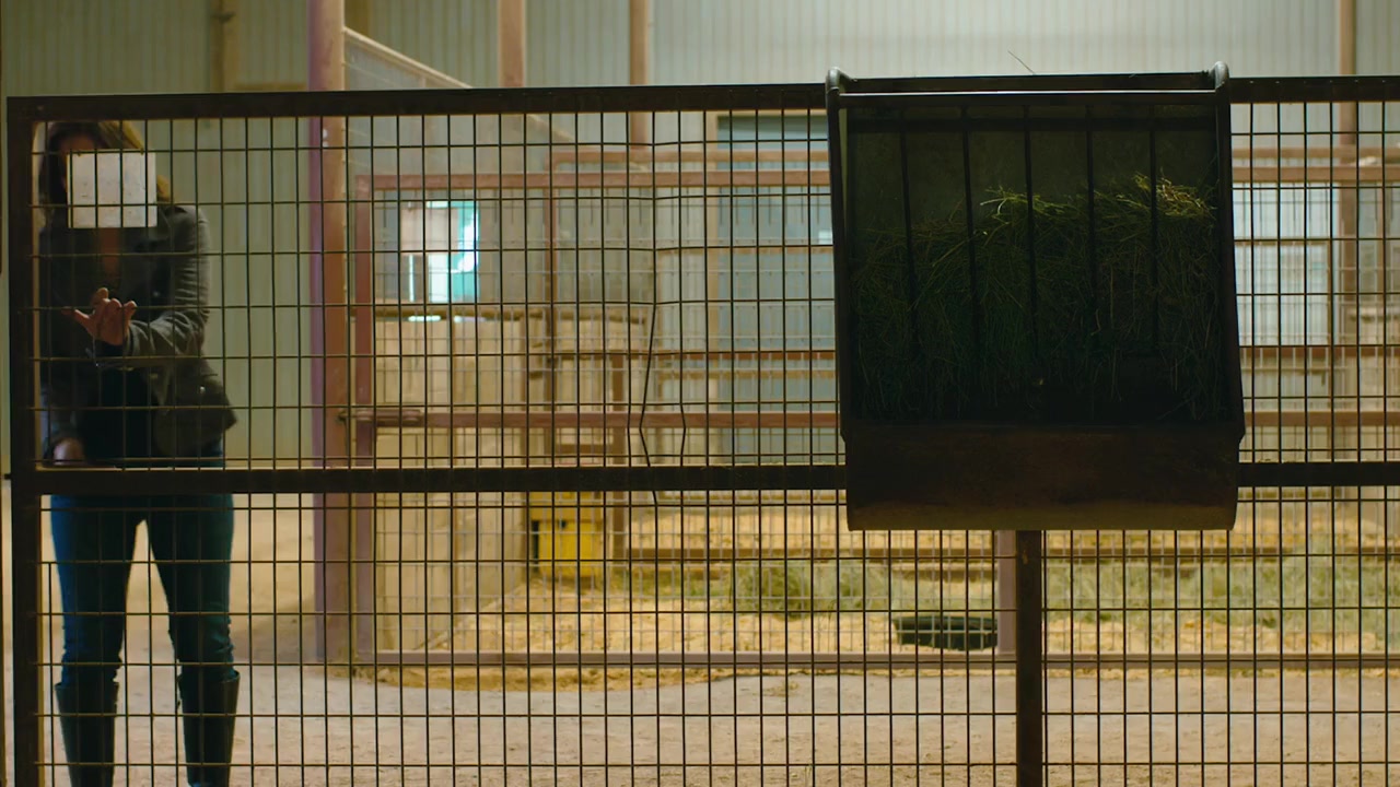 Saving Sloane screenshot 2